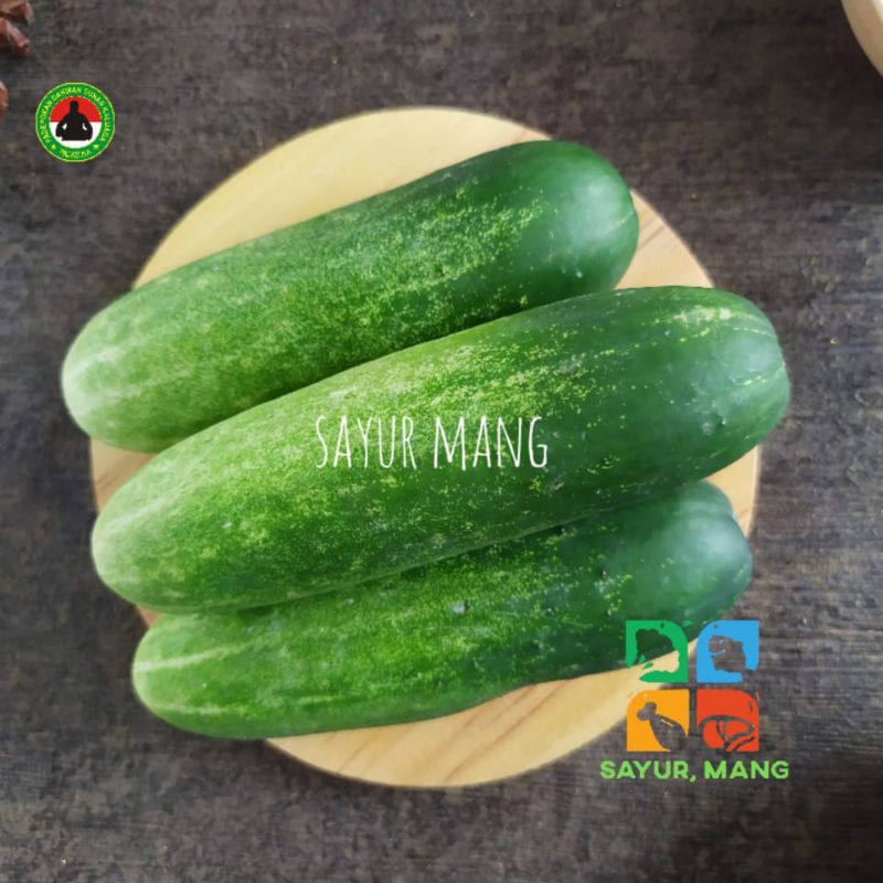 

Bonteng / Timun I Sayur Mang