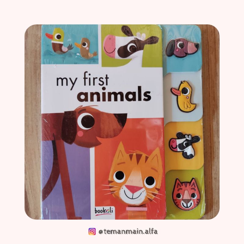 Board Book My First Animals