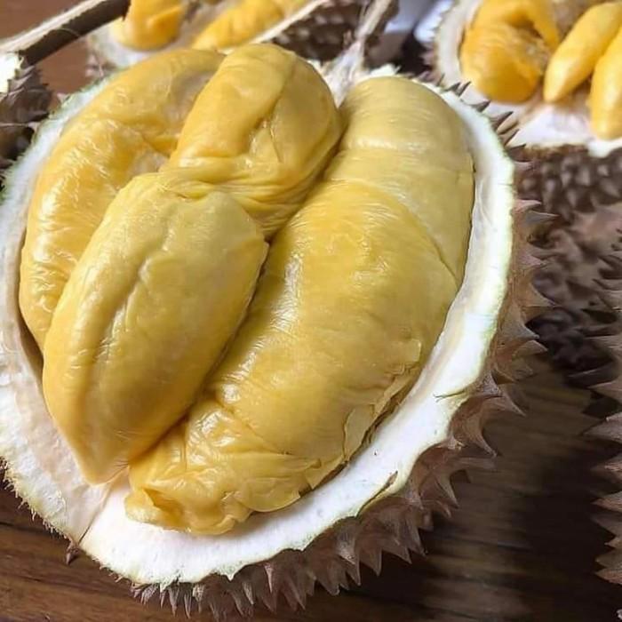 

Buah | Durian Malaysia D24