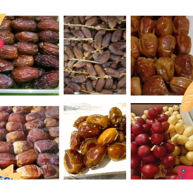 

Aneka Kurma