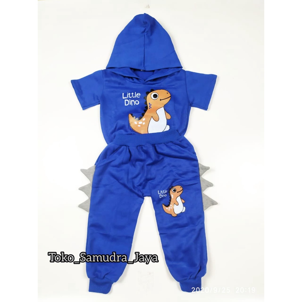 Setelan anak laki laki Baju Dinosaurus anak hoodie anak laki laki Baju anak 1-6 Tahun