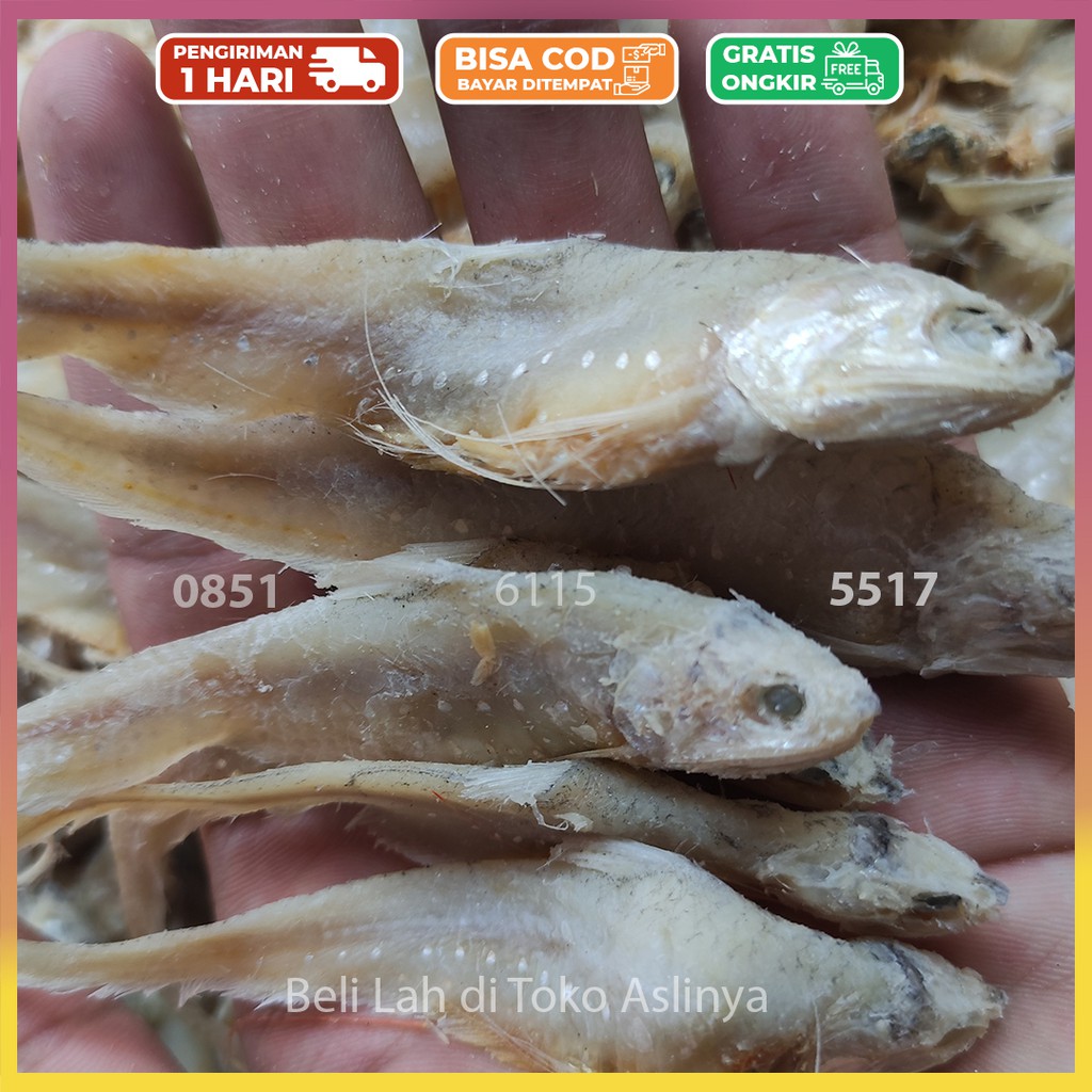 

Ikan Bulu Ayam Tawar / Asin 1Kg 100% Fresh / Ikan Asin Bulu Ayam Tawar Super Premium