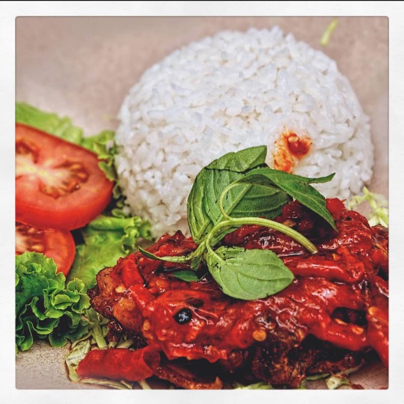

ayam jebrod 58