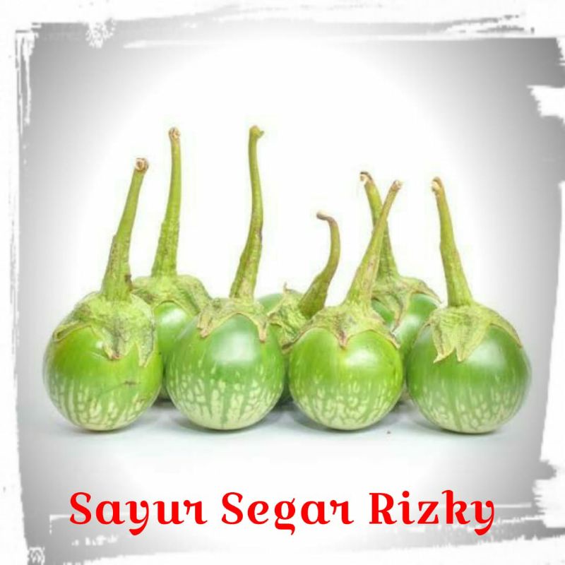 

Terong Kecil,Terong Lalap