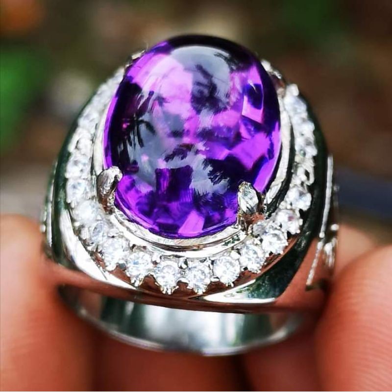 KECUBUNG BUNGUR TANJUNG BINTANG