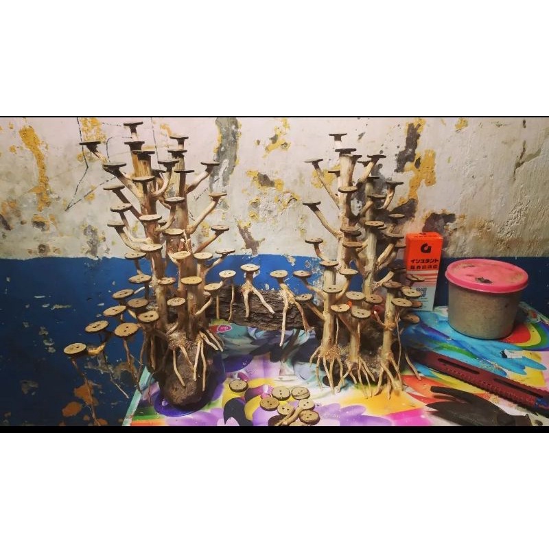 Hiasan Aquascape Tema ( Hutan Pinus )