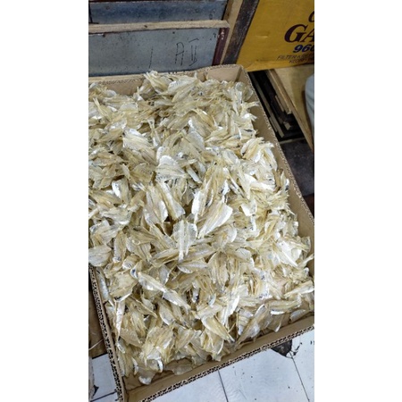 

Ikan kerupuk/pakang