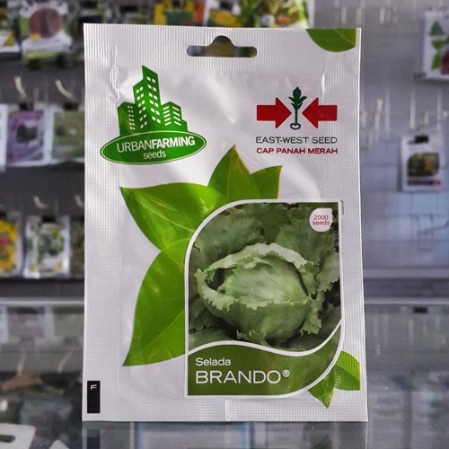 Benih Selada Brando 2.000 biji – Panah Merah