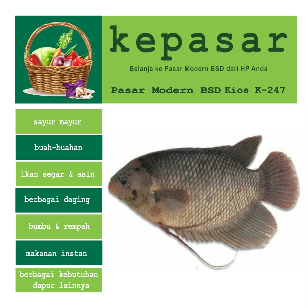 

Ikan Gurame segar 1 kg - Kepasar Pasar Online