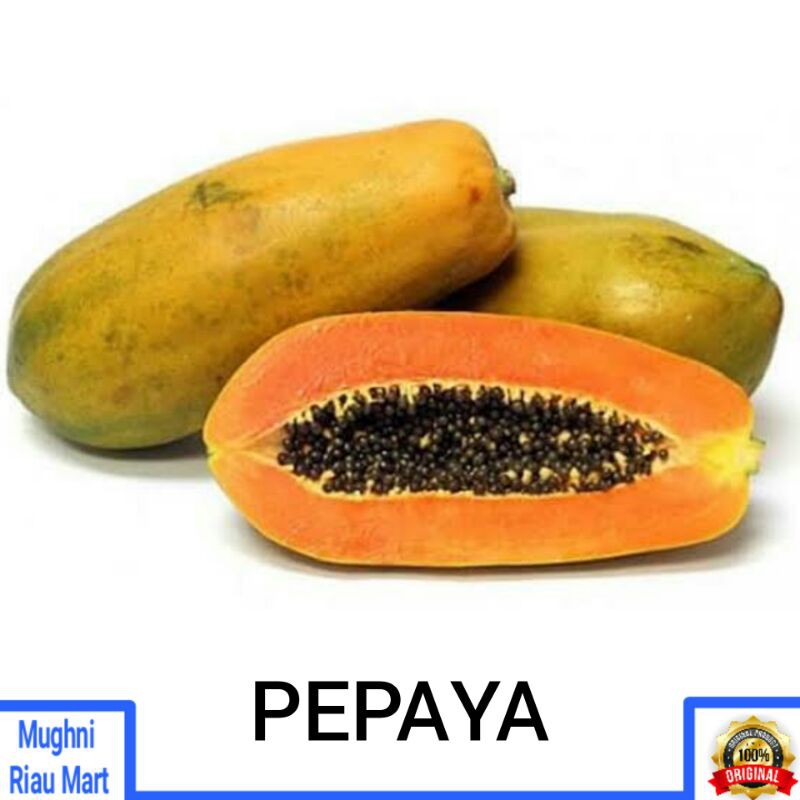 

Buah Pepaya Per Pcs Varian Ukuran Berat