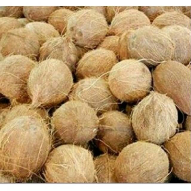 Kelapa Tua Kupas Shopee Indonesia