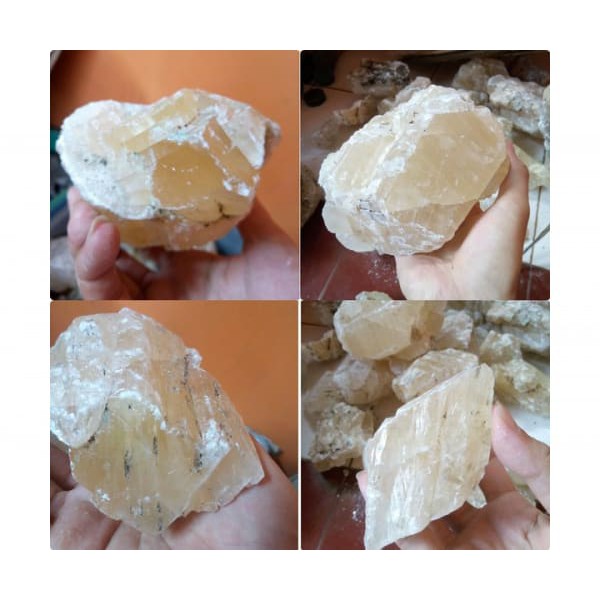 SALE BAHAN MANI GAJAH LAMPUNG