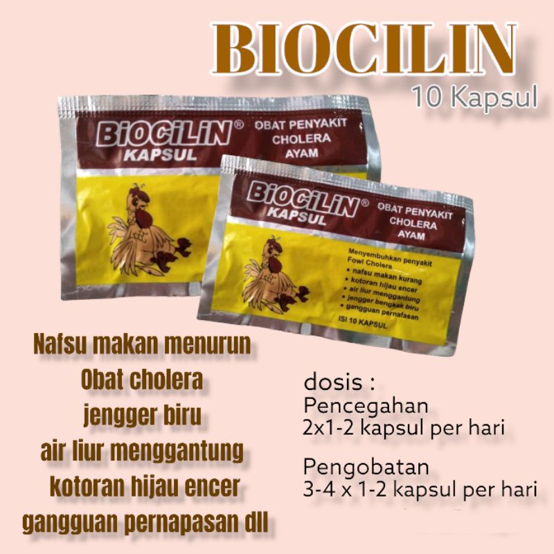 Biocilin kapsul ayam obat cholera jengger biru 10 kapsul Eka farma