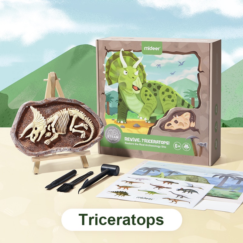 TweedyToys - Mideer Steam Arkeolog / Mideer Steam Games Revive Fossil Dinosaurus / Mainan Edukasi Anak