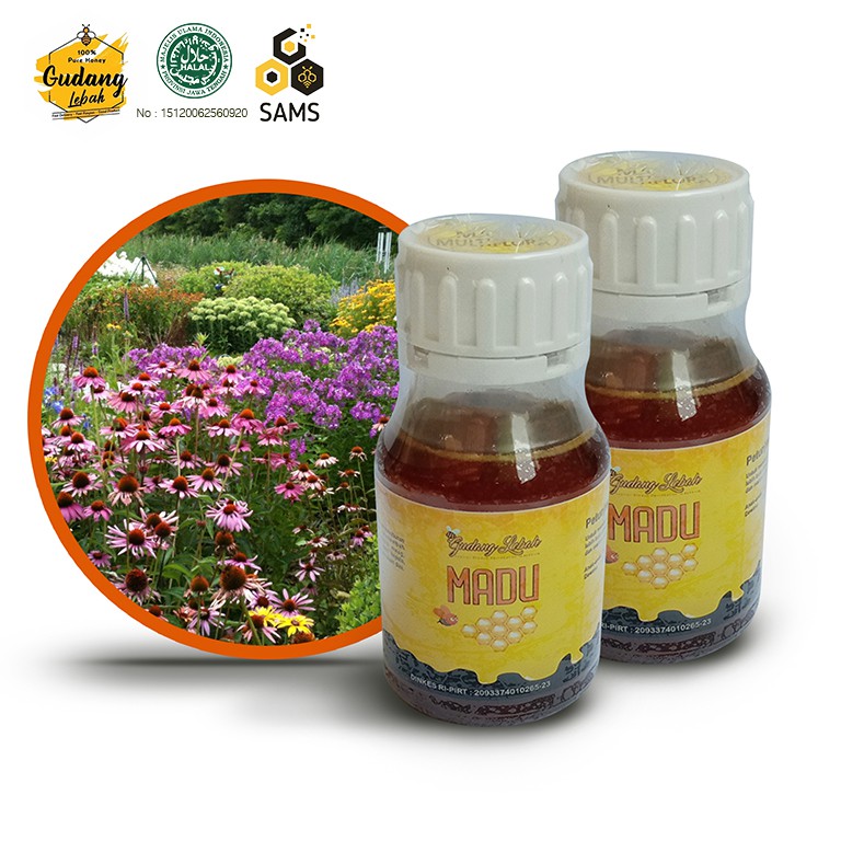

Madu Multiflora / Madu Asli Murni 350 gram / Pusat Madu Asli Online / Produsen Madu Asli Murni