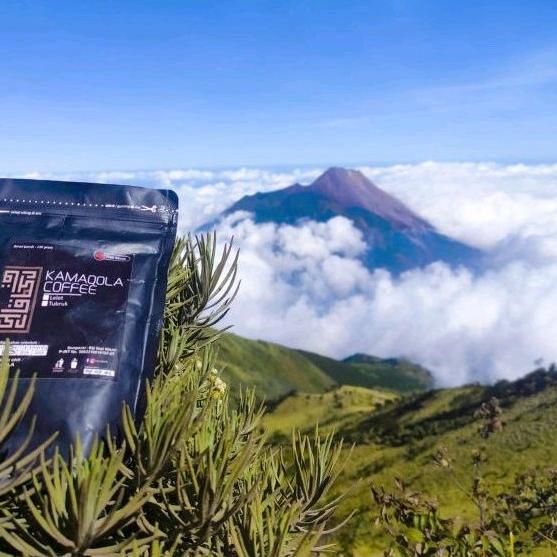 

BARU W9039 Kopi tulen KamaQola 200gr ㆅ