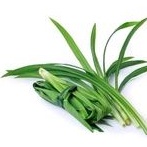

Daun Pandan 1 ikat