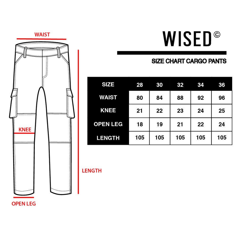 WISED | SLEDGE | CARGO CAMO PANTS