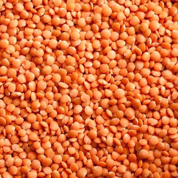 

Promo Awal tahun Natural Red Lentil/ Organik Kacang Lentil Merah, 1 kg Import Promo Awal tahun