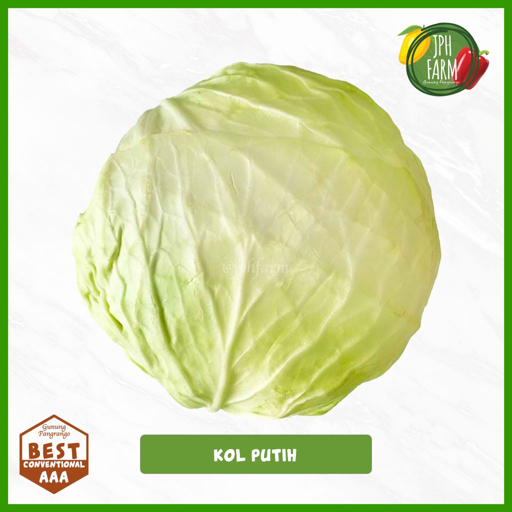 

Kol Kubis, Kol Putih, Cabbage 500g