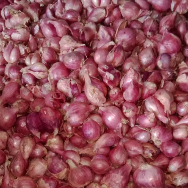 

Bawang merah brebes