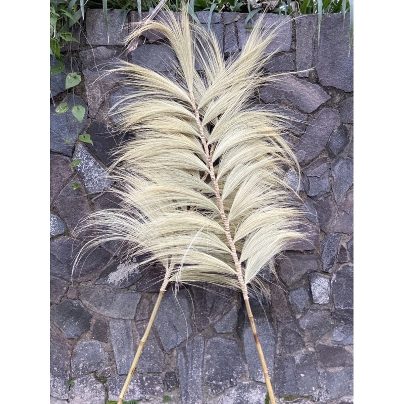 Bunga Kering Rayung / Stik Rayung / Dried Flower / Hiasan Bunga / Dekorasi Rumah / Home Decor