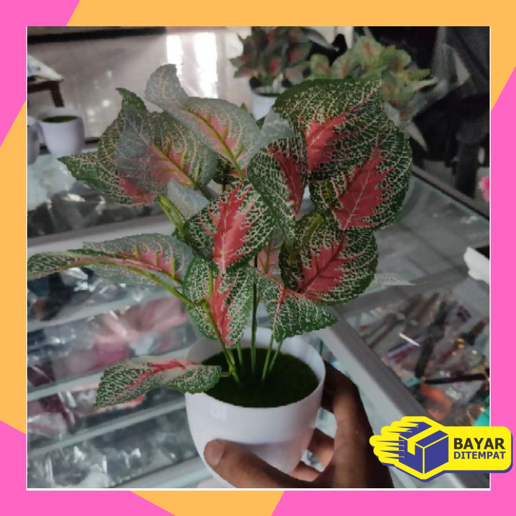 Bunga Plastik aglonema / Keladi Hias