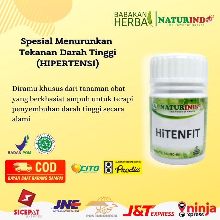 

Obat Herbal Naturindo Hitenfit Alami Turunkan Tekanan darah Tinggi HIPERTENSI Ampuh