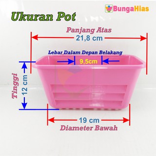 Pot Dinding Tempel NKT Pelangi Tanaman Bunga Hias Vertical Pot Dinding Tempel NKT Pelangi Tanaman Bunga Hias Vertical