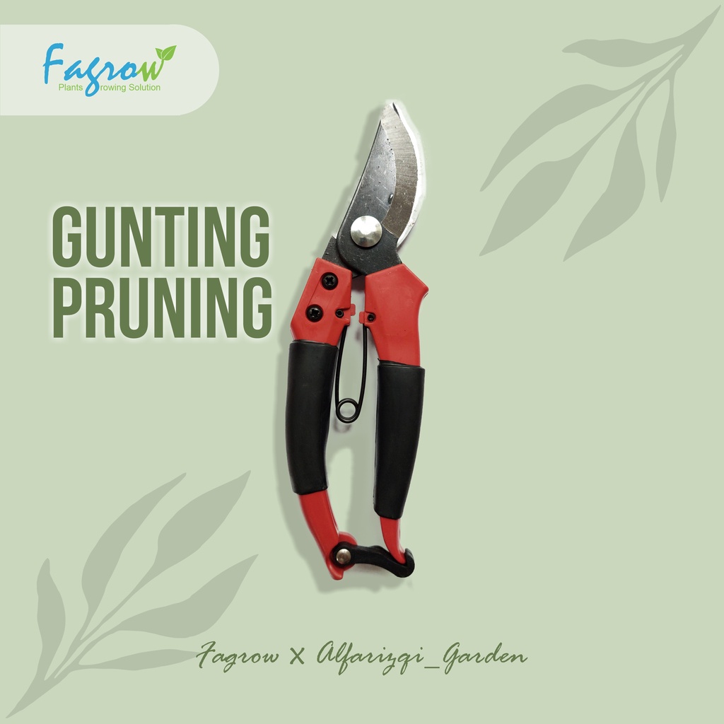 Kenmaster - Gunting Tanaman Hias - Pemotong Tanaman