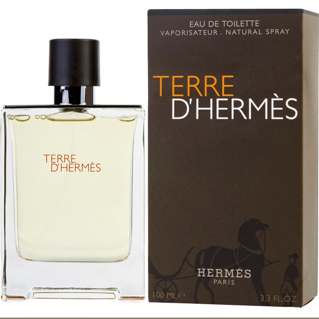 Hermes Terre D'Hermes EDT Men 100 ML 