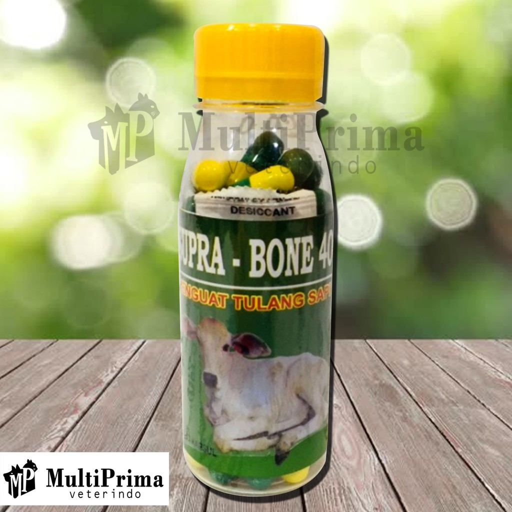 Obat Penguat Tulang Sapi yang Lumpuh - SUPRA BONE 40