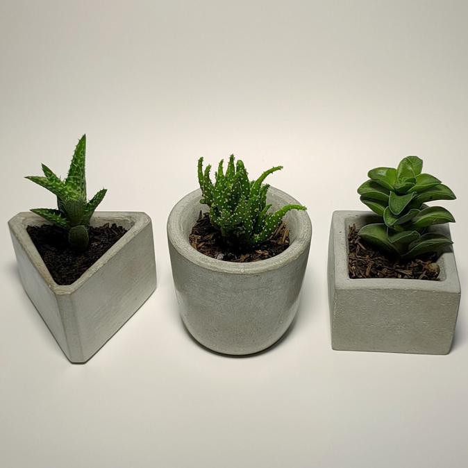 Pot Semen / Pot Kaktus / Waikiki Set