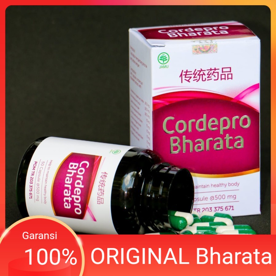 Obat Penghancur Batu Ginjal CordePro Bharata