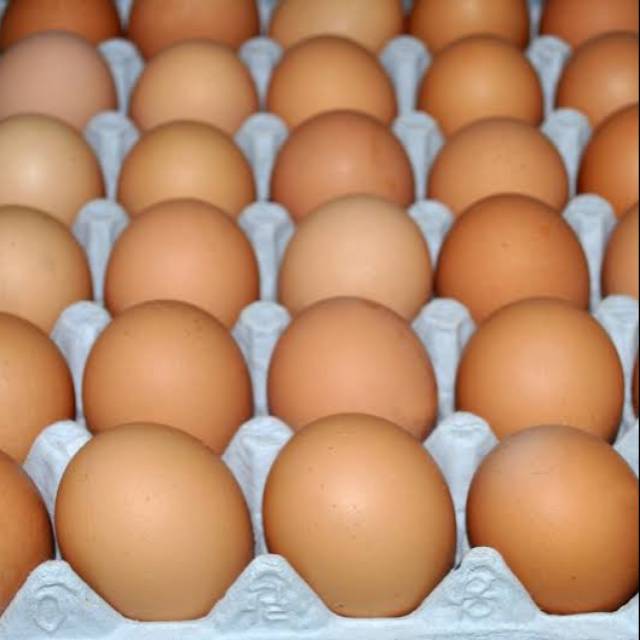 

TELUR AYAM BESAR