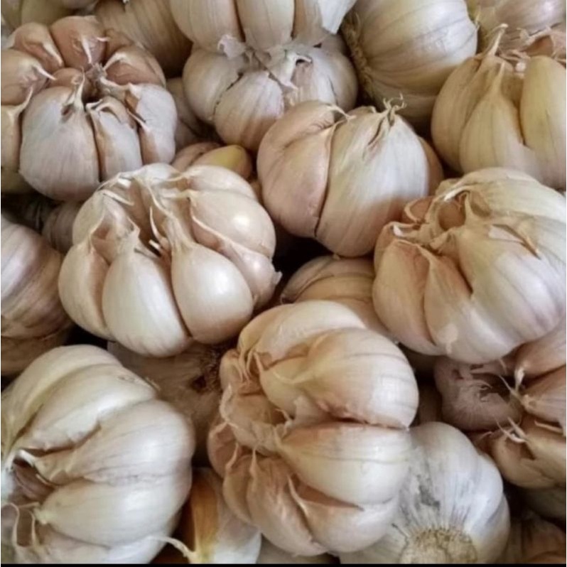 

Bawang putih bersih 500gr
