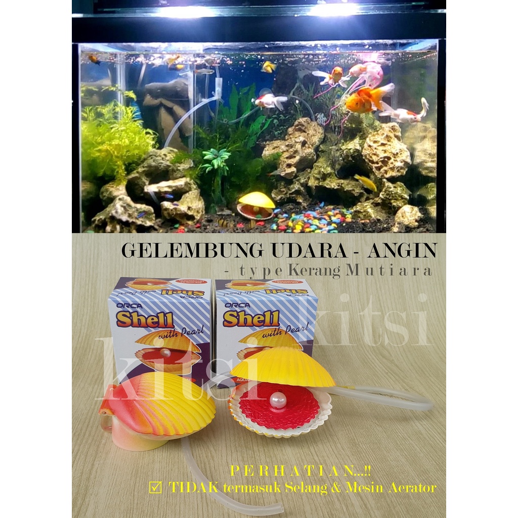 5100 Dekorasi Aquarium Air Tawar Terbaru