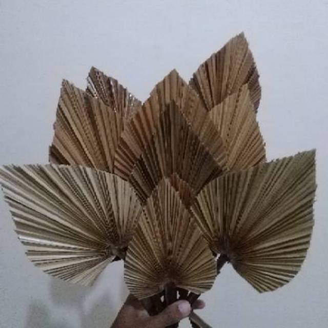 DAUN PALEM PALM MINI UNTUK BUKET DEKORASI Shopee Indonesia DAUN PALEM PALM MINI UNTUK BUKET DEKORASI Shopee Indonesia