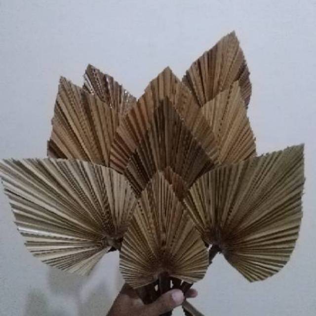  DAUN  PALEM  PALM MINI UNTUK BUKET DEKORASI  Shopee Indonesia