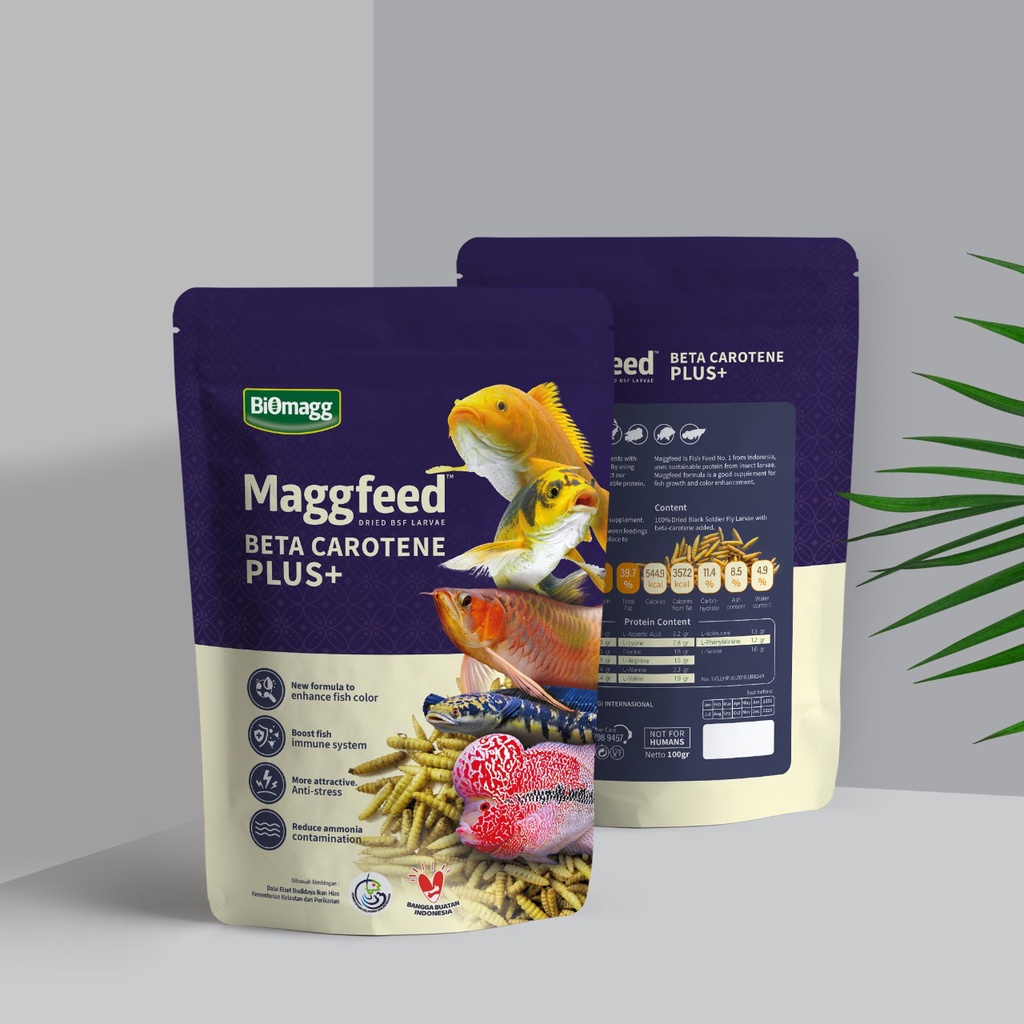 Pakan Ikan Hias Maggfeed Betacaroten Premium Maggot Kering (Pakan Channa Limbata, Pakan Reptil, Paka