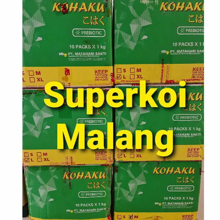 Kohaku Color Growth Grow Enhancer Spirulina Warna Pakan Koi Prebiotic