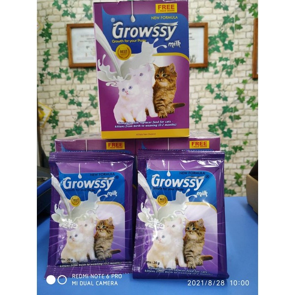 GROWSSY MILK CAT