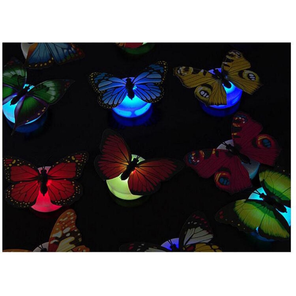 INFY - Kupu Kupu LED Bercahaya / Kupu Kupu Dekorasi / Butterfly LED / Lampu Hias Kupu Kupu E003 COD