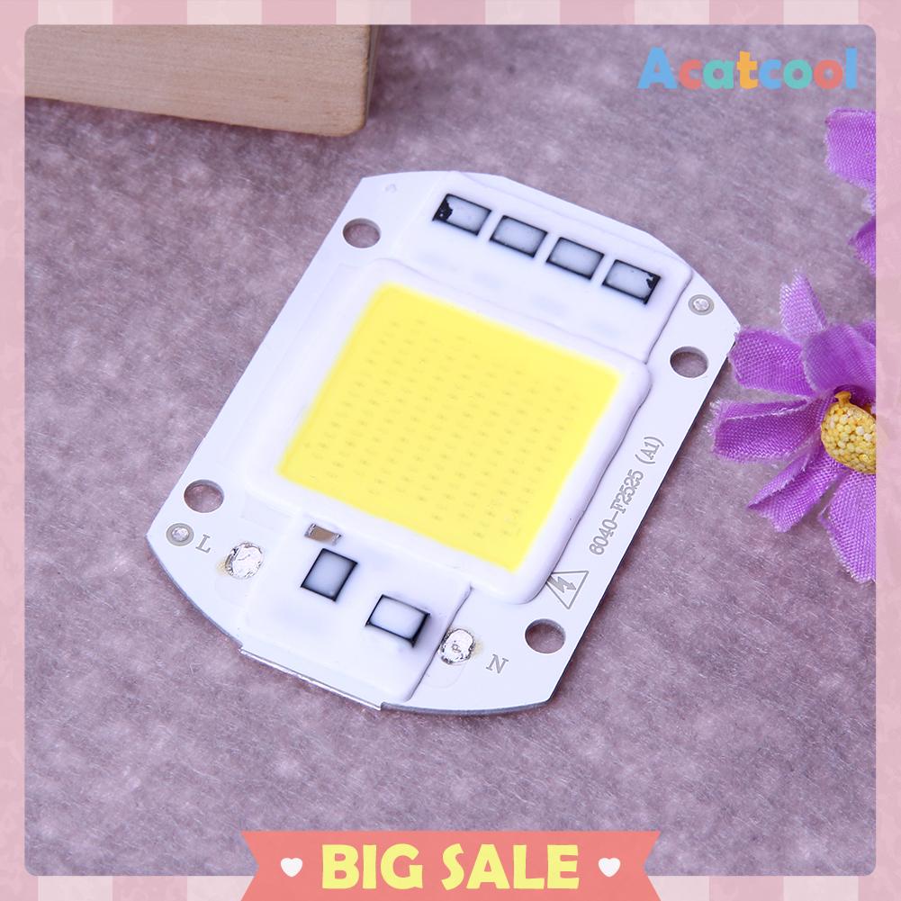 Chip Input Ic Driver Led Cob 50w 220v