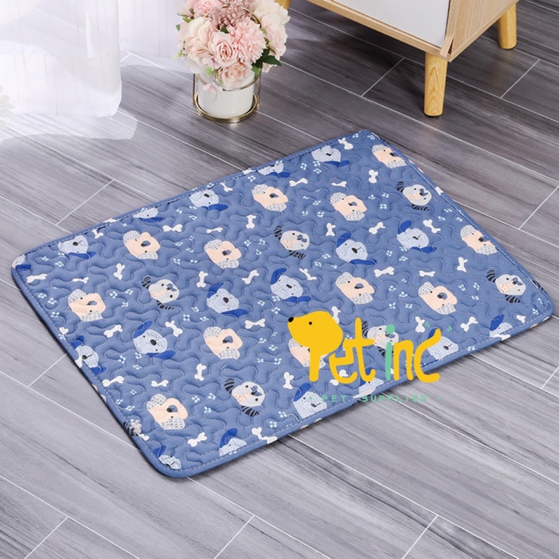 Pawbuddy pet playmat