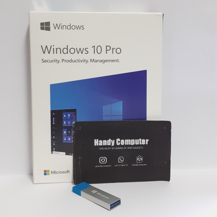 TERLARIS Windows 10 Pro FPP Original