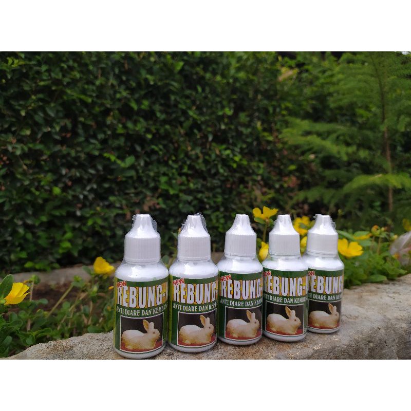 rebung_k obat diare dan kembung pada kelinci