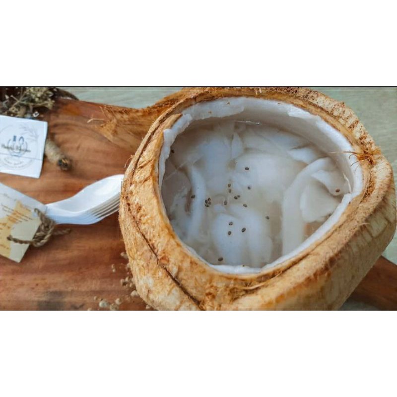 

kelapa jelly original