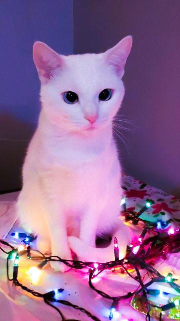 Batik Couple Keluarga Sania Ruffle Ori Ndoro Jowi Dnt Motif Matahari Terbit Abu