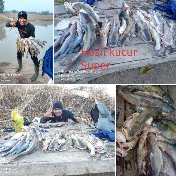 [Tl31au22ғ] Kucur kacong Steven